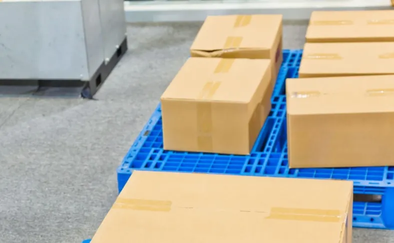 Czy paletyzator płytowy może pracować z produktami bez opakowania zbiorczego?